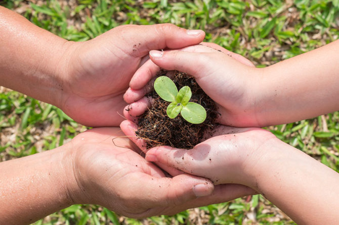 Educare alla responsabilità per la tutela della vita